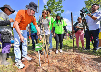 Parque do Idoso recebe projeto ‘Parque 60+ Verde’ com o plantio de 356 árvores