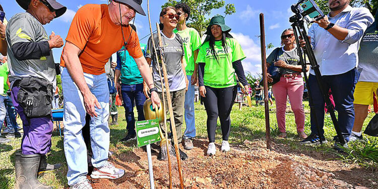 Parque do Idoso recebe projeto ‘Parque 60+ Verde’ com o plantio de 356 árvores