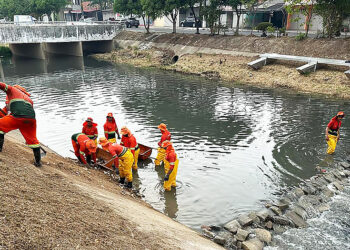 Projeto das ecobarreiras que despoluem igarapés em Manaus será apresentado por David Almeida na COP30