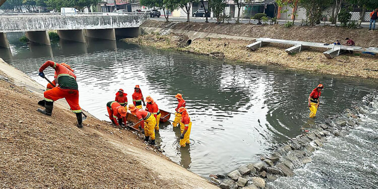Projeto das ecobarreiras que despoluem igarapés em Manaus será apresentado por David Almeida na COP30