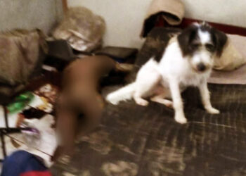 Homem morre em casa e apenas o cachorro fica ao lado dele nos últimos momentos, em Manaus