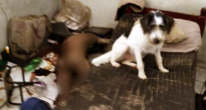 Homem morre em casa e apenas o cachorro fica ao lado dele nos últimos momentos, em Manaus