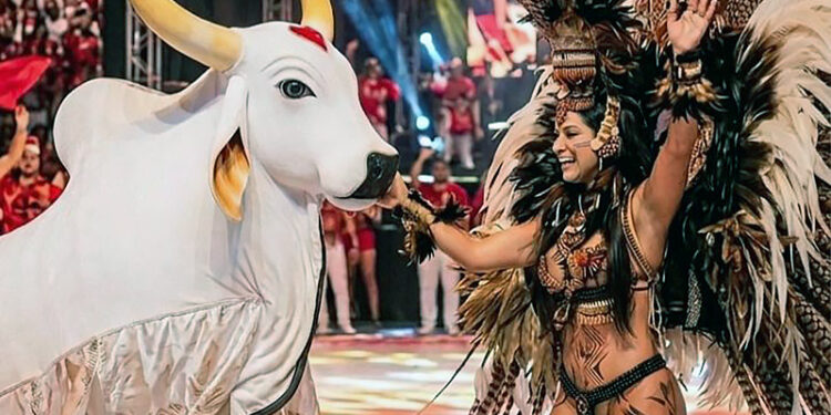 Sábado tem Curral do Garantido, com lançamento das toadas 2026, no sambódromo de Manaus