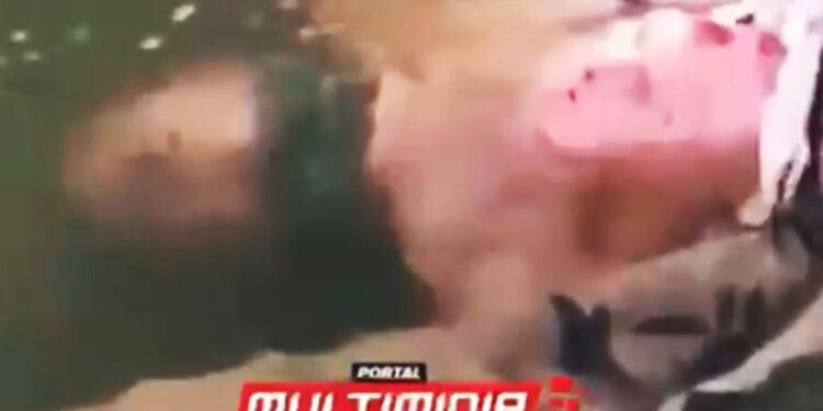 Vídeo: corpo é encontrado em igarapé na Compensa e atrai multidão para assistir cena cadavérica