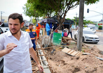 No Dia da Árvore, Renato Junior vistoria obra que mantém arborização em meio ao concreto e asfalto